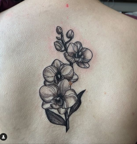 Tattoos - Anna Mia Orchid - 143555